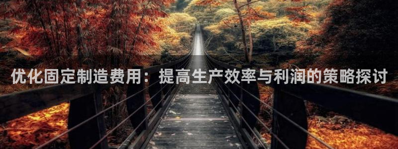 彩神8彩平台官网：优化固定制造费用：提高生产效率与利润的策略探讨
