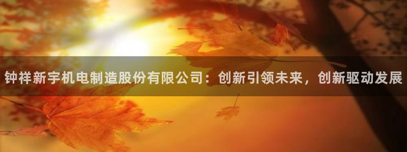 彩神官方登录：钟祥新宇机电制造股份有限公司：创新引领未来，创新驱动发展
