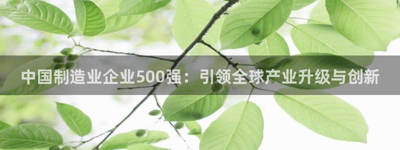 彩神8彩平台客服：中国制造业企业500强：引领全球产业升级与创新