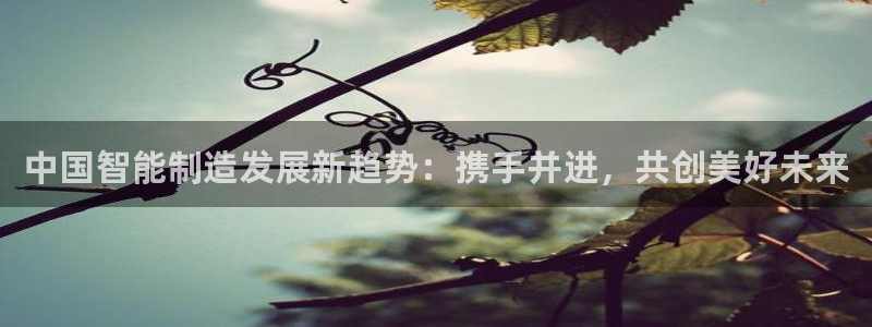 彩神购彩-购彩大厅入口娱乐首选：中国智能制造发展新趋势：携手