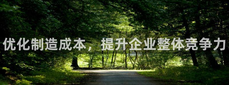 彩神V8有限公司：优化制造成本，提升企业整体竞争力