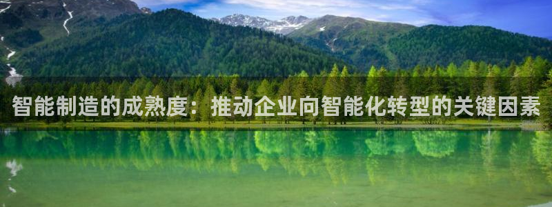 天天赢彩神：智能制造的成熟度：推动企业向智能化转型的关键因素
