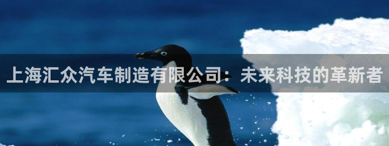 彩神V购彩大厅