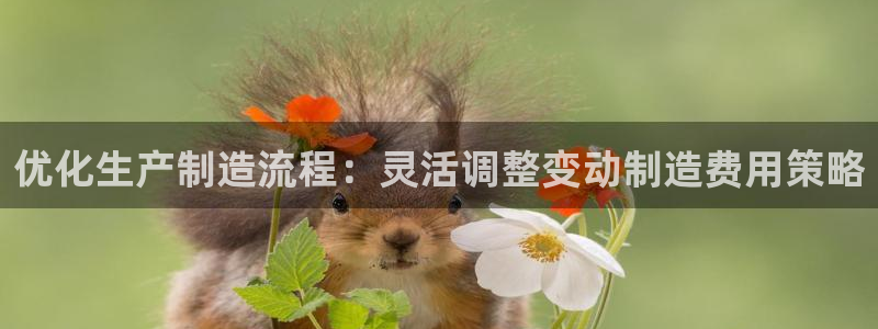 彩神vip购彩大厅在哪