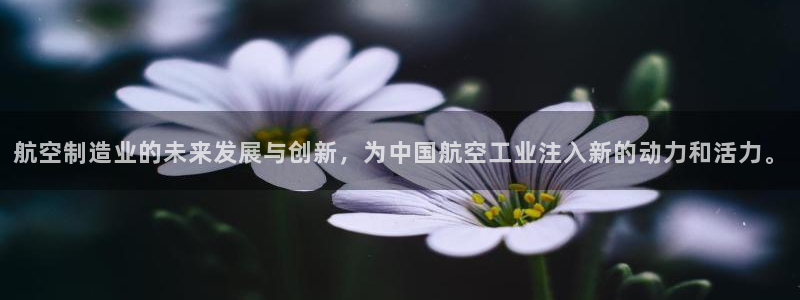 彩神大发如何观察走势：航空制造业的未来发展与创新，为中国航空工业注入新的动力和活力。
