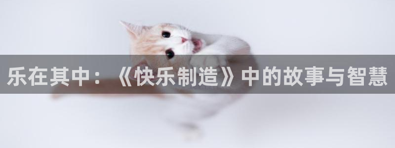 彩神是正规平台吗是真的吗：乐在其中：《快乐制造》中的故事与智