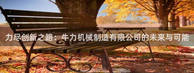 有谁知道彩神争霸的网址：力尽创新之路：牛力机械制造有限公司的未来与可能