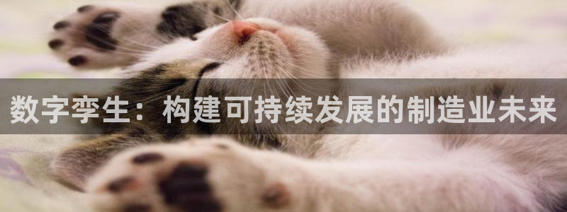 彩神8官网合法吗