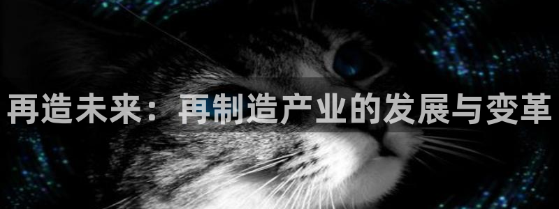在彩神网输了六万多怎么拿回来：再造未来：再制造产业的发展与变革