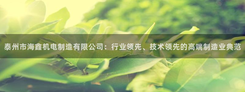 天天赢彩神