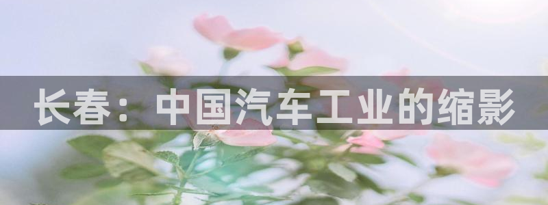 彩神vip官方网站