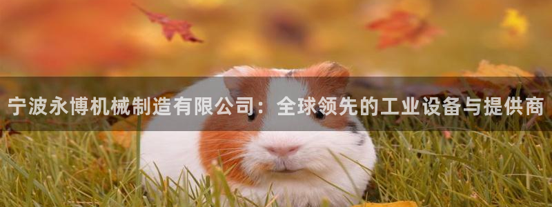 彩神iv争霸购彩大厅