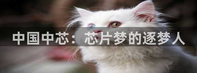 彩神是正规平台吗安全吗：中国中芯：芯片梦的逐梦人