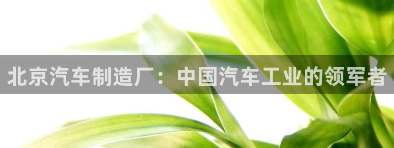 彩神V集团公司：北京汽车制造厂：中国汽车工业的领军者