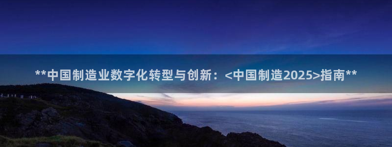 彩神v8手机客户端在哪：**中国制造业数字化转型与创新：<中国制造2025>指南**